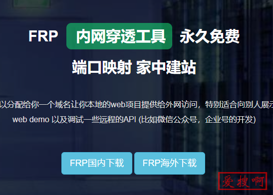 荒野无灯老毛子固件frp客户端设置frpc.ini文件配置方法Padavan固件frp客户端设置