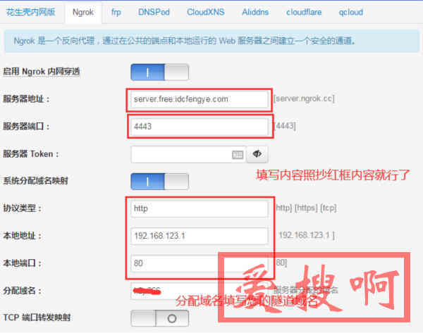 使用啪嗒路由Ngrok内网穿透远程控制老毛子padavan路由器