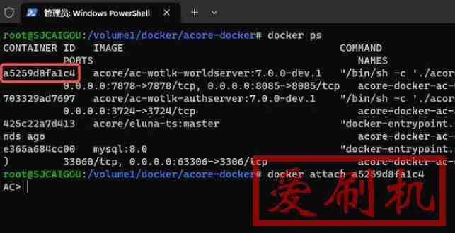 黑群晖docker上部署开源魔兽单机版