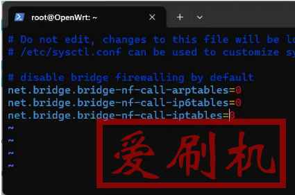 OpenWRT的NAT环回有什么用？